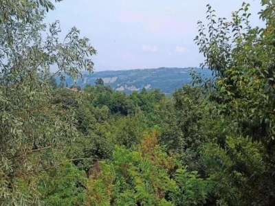 Cottage Mansion in Langhe with Pool and Winery Charm - Environment photo 17