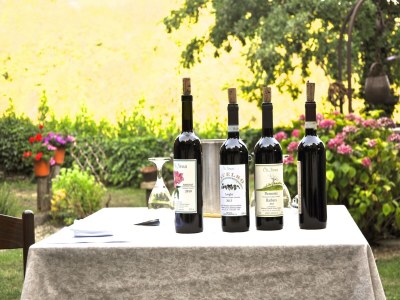 Cottage Mansion in Langhe with Pool and Winery Charm - Outdoor photo 31