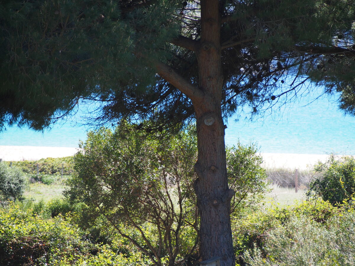 Holiday apartment 1-bedroom apartment at the beach - Outdoor photo 5