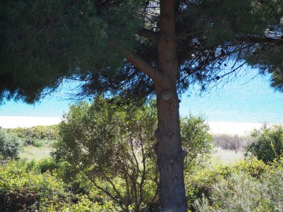 Holiday apartment 1-bedroom apartment at the beach - Outdoor photo 5