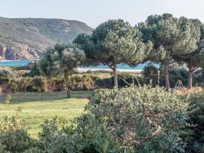 Holiday apartment 1-bedroom apartment at the beach - Environment photo 15