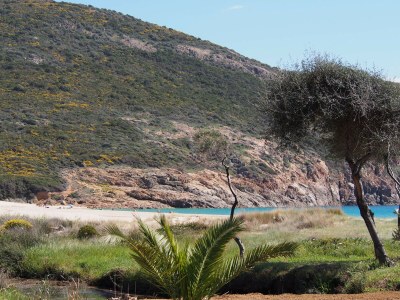 Holiday apartment 1-bedroom apartment at the beach - Environment photo 26