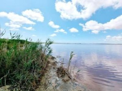 Villa Villa with Garden & Roof Deck - Environment photo 36