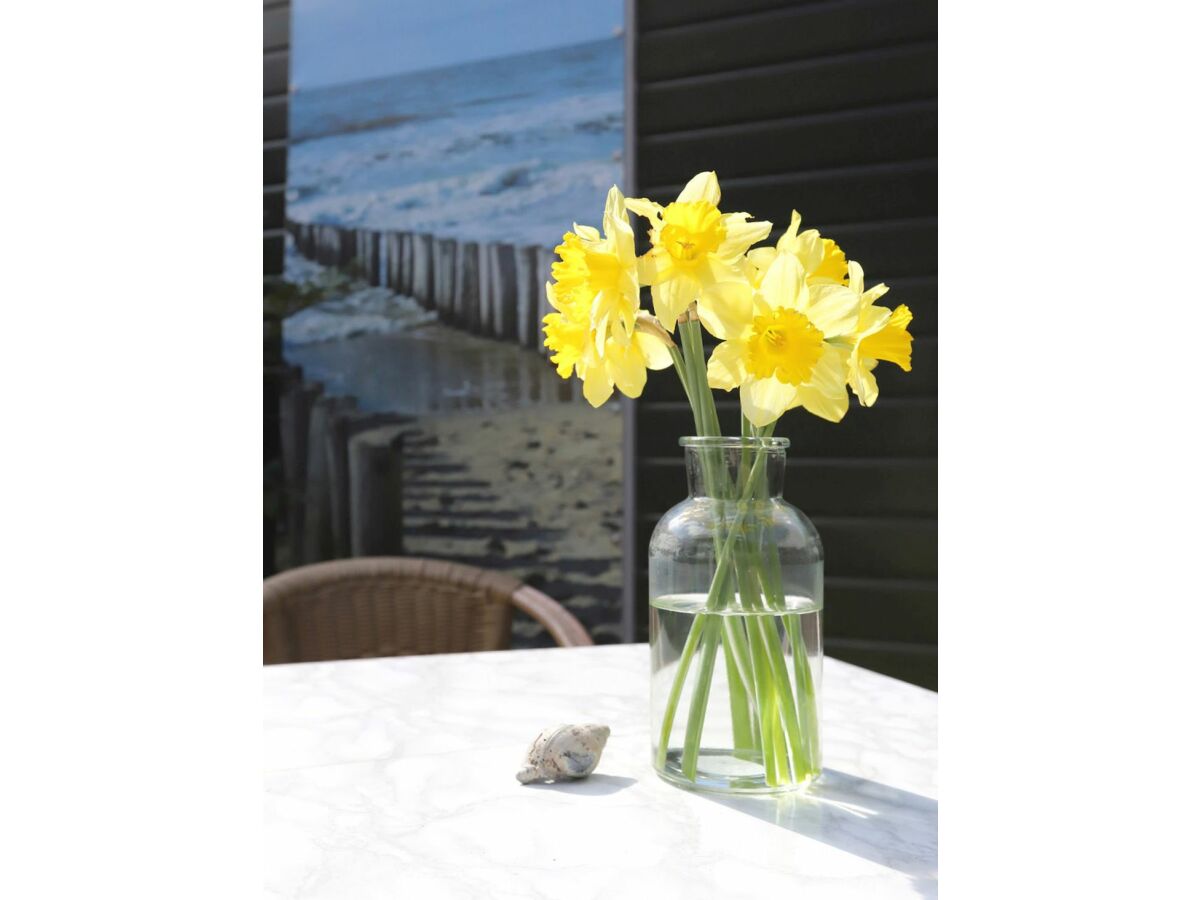 Holiday house Domburg aan Zee de Krukel - Outdoor photo 3