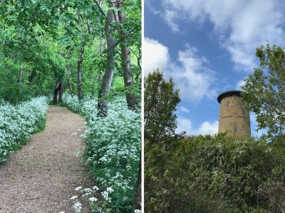 Holiday house Domburg aan Zee de Krukel - Environment photo 15