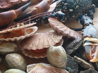 Villa Manoir "Men Toul" - Environment photo 18