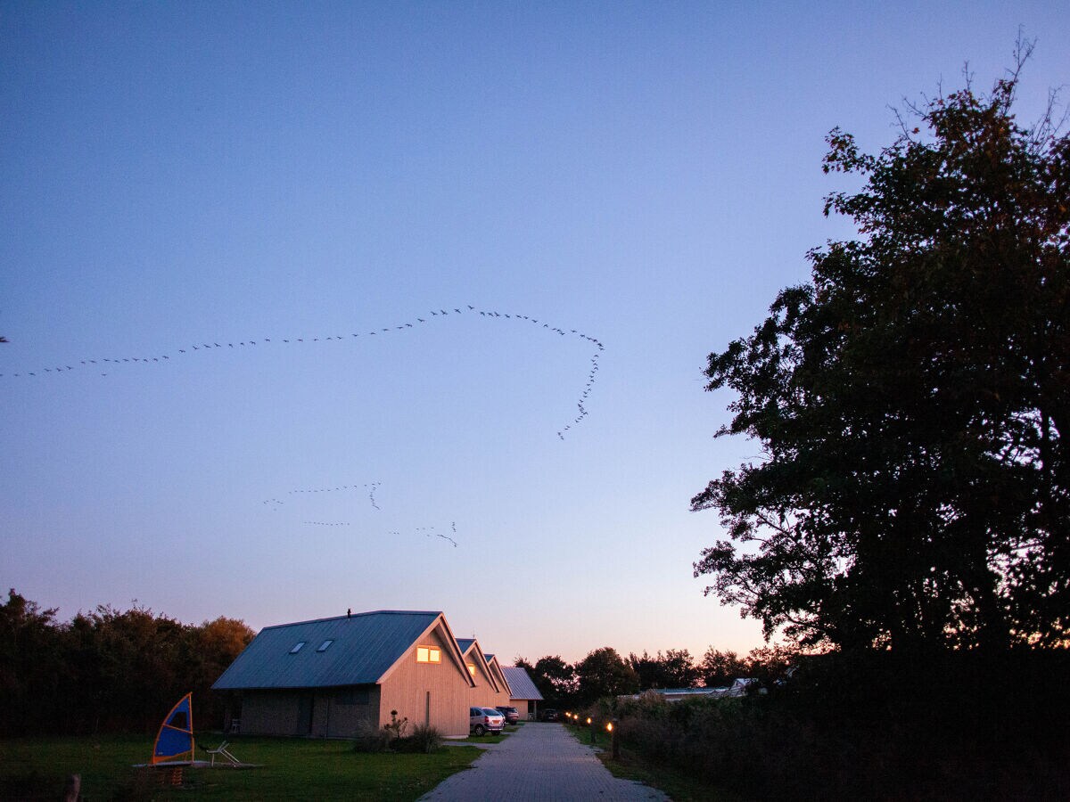 Villa Veranda by the North Sea - Outdoor photo 5