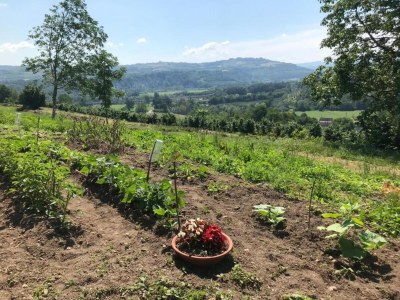 Cottage Mansion in Langhe with Pool and Winery Charm - Environment photo 22