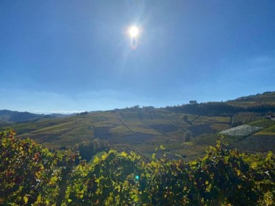 Cottage Mansion in Langhe with Pool and Winery Charm - Environment photo 23