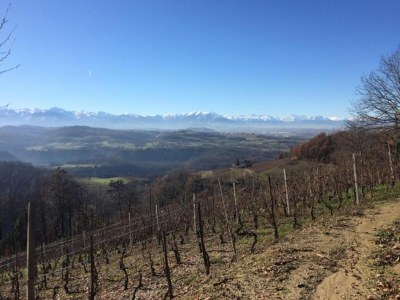 Cottage Mansion in Langhe with Pool and Winery Charm - Environment photo 29