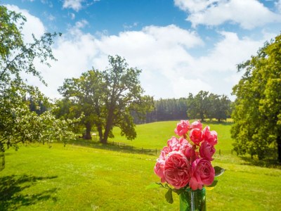 Holiday house Rustikaler Bauernhof am Ammersee - Outdoor photo 8