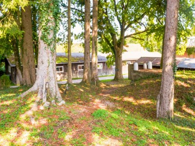 Holiday house Rustikaler Bauernhof am Ammersee - Outdoor photo 9
