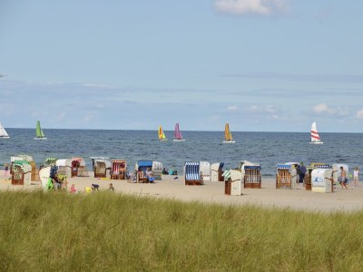 Holiday apartment No. 30 at Strand Resort Heiligenhafen - Environment photo 18