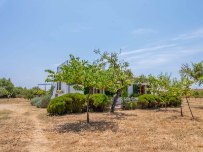 Cottage Ses Planes (Ca na Faustina) - Outdoor photo 31