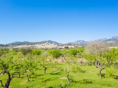 Cottage Ses Planes (Ca na Faustina) - Outdoor photo 32