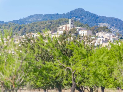 Cottage Ses Planes (Ca na Faustina) - Outdoor photo 33