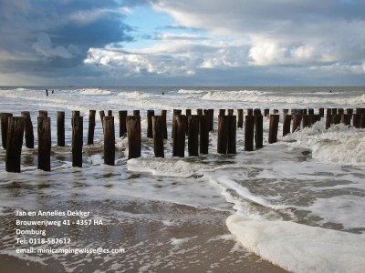 Apartment Near the Sea - Environment photo 18