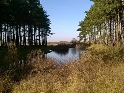 Apartment Near the Sea - Environment photo 19