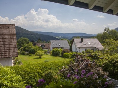 Holiday apartment Bosch im Schwarzwald - Outdoor photo 9