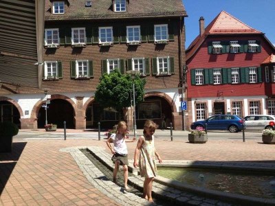 Holiday apartment Bosch im Schwarzwald - Environment photo 15