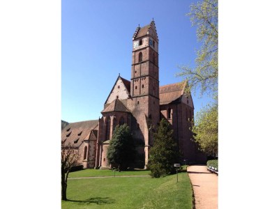 Holiday apartment Bosch im Schwarzwald - Environment photo 16