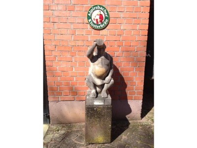 Holiday apartment Bosch im Schwarzwald - Environment photo 17