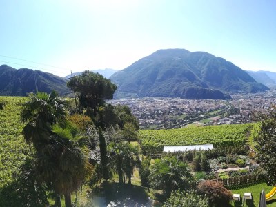 Holiday apartment Messnerhof - Outdoor photo 6