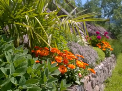 Holiday apartment Messnerhof - Environment photo 12