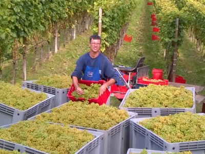 Holiday apartment Messnerhof - Environment photo 14