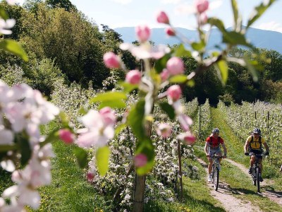 Holiday apartment Messnerhof - Environment photo 16