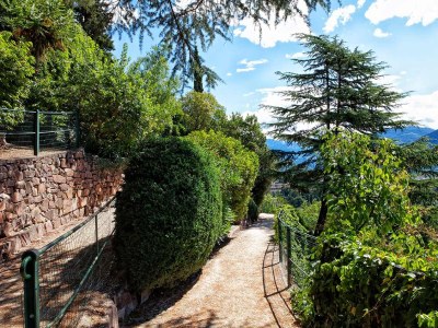 Holiday apartment Messnerhof - Environment photo 18