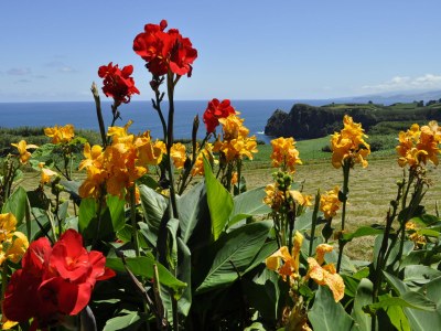 Holiday house "Casa Björn" - Environment photo 18