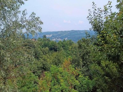 Cottage Apartment in Bastia Mondovì with Pool - Environment photo 22