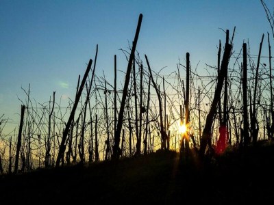Cottage Apartment in Bastia Mondovì with Pool - Environment photo 25
