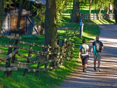 Holiday apartment Prinoth - Environment photo 17