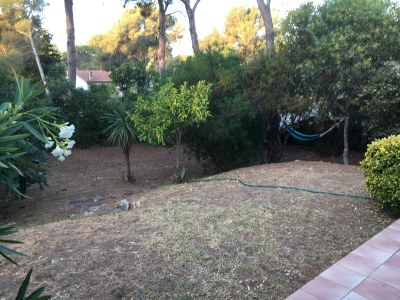 Holiday house Parc Eugénie - Outdoor photo 12