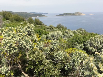 Holiday house Parc Eugénie - Environment photo 25