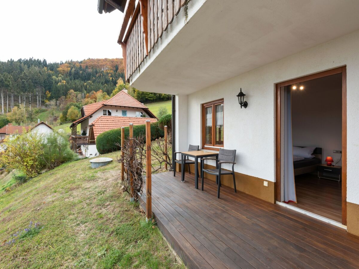 Apartment Apartment in Kleines Wiesental - Outdoor photo 4