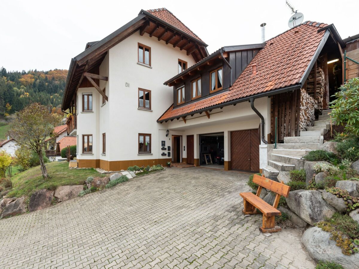 Apartment Apartment in Kleines Wiesental - Outdoor photo 5