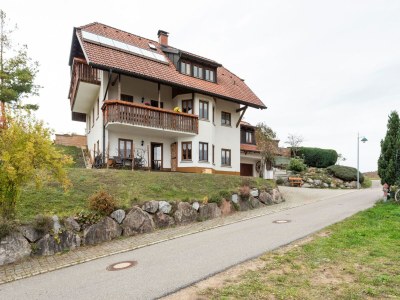 Apartment Apartment in Kleines Wiesental in Southern Black Forest - Apartment