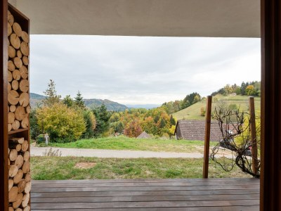 Apartment Apartment in Kleines Wiesental - Outdoor photo 6
