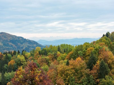 Apartment Apartment in Kleines Wiesental - Outdoor photo 7
