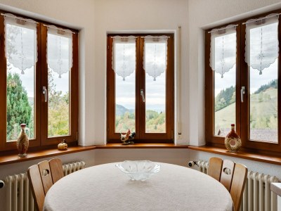 Apartment Apartment in Kleines Wiesental - Features photo 13