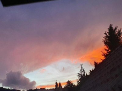 Apartment Apartment in Kleines Wiesental - Environment photo 25