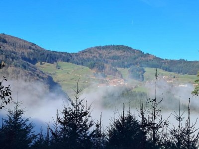 Apartment Apartment in Kleines Wiesental - Environment photo 26