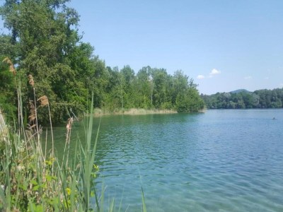 Apartment Apartment in Kleines Wiesental - Environment photo 30