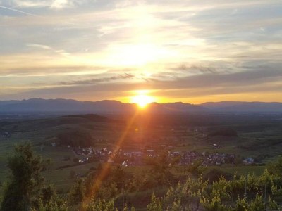 Apartment Apartment in Kleines Wiesental - Environment photo 31