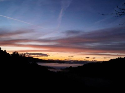 Apartment Apartment in Kleines Wiesental - Environment photo 32