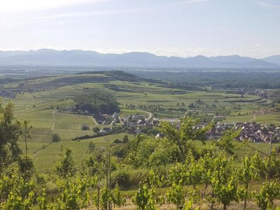 Apartment Apartment in Kleines Wiesental - Environment photo 33