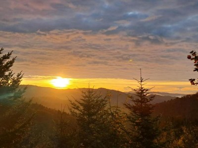 Apartment Apartment in Kleines Wiesental - Environment photo 34